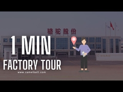 Discover Asia's Largest Lead Acid Car Battery Factory in Just 1 Minute