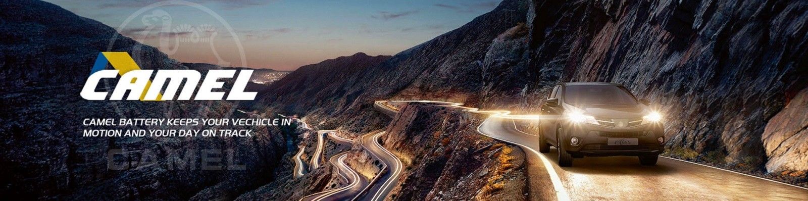 リチウム イオン始動機電池