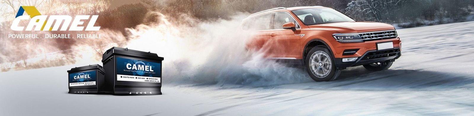 Bateria resistente do caminhão